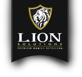 Lion Solutions
